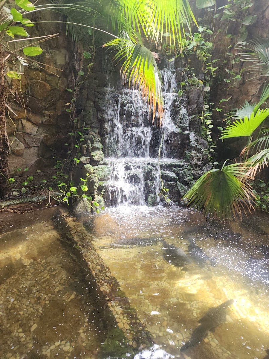 Restaurante E Lanchonete Zero Hora Photos 2